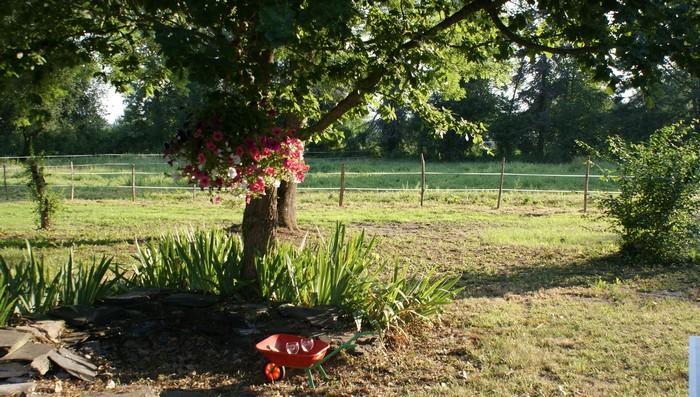 Neuillé Les Longchamps Bed & Breakfast エクステリア 写真
